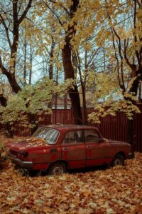 Thanksgiving junkcar