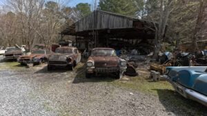 the most hunted car